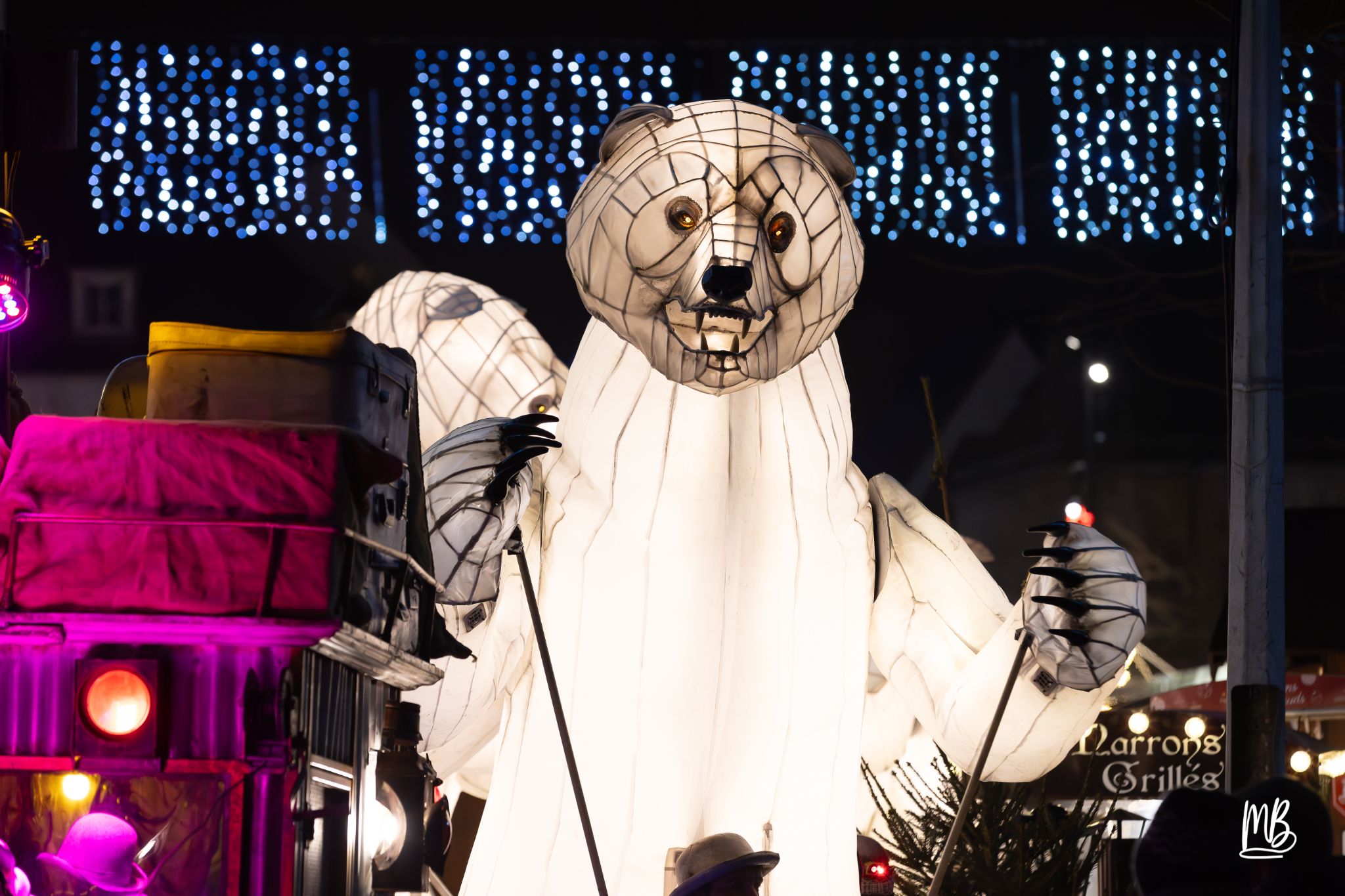 MB2024 CIE REMUE MENAGE(Gueule d'ours) (97 sur 107)